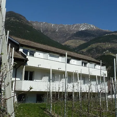 Hotel-Restaurant-Pizzeria Goldrainerhof-2